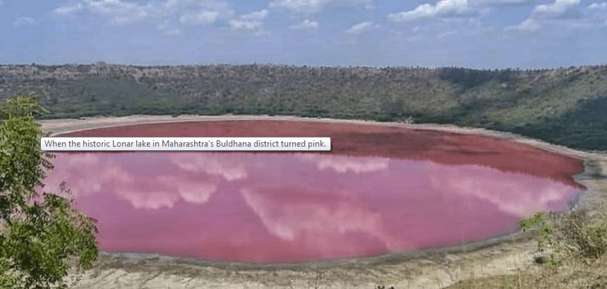 pink lonar lake