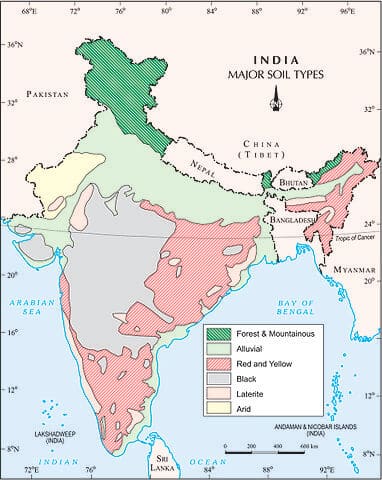 Soils
Soils In India