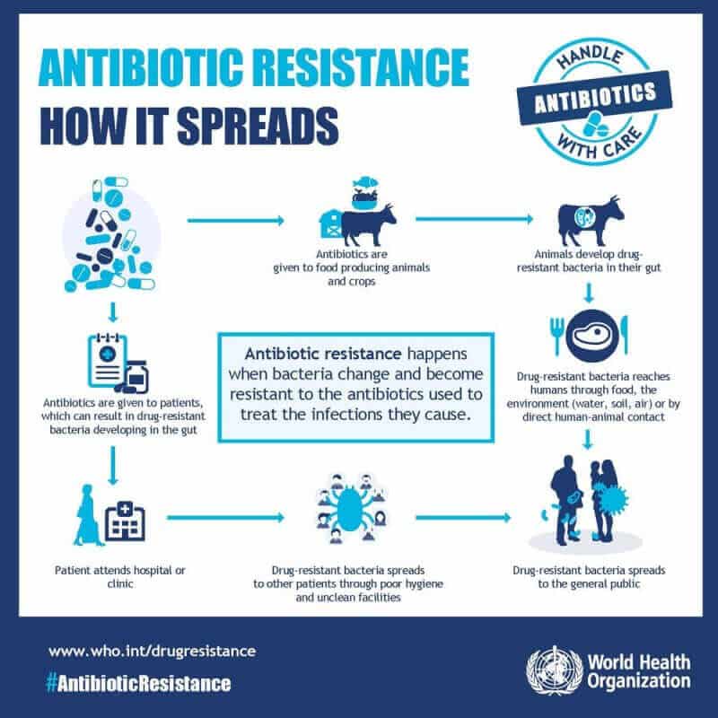 antimicrobial resistance infographics
