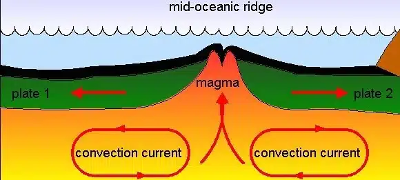 Oceans and Continents