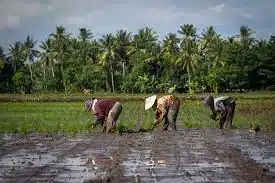 Land tenure systems in India | Important Land Reforms