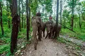 Wildlife Sanctuaries of Bihar